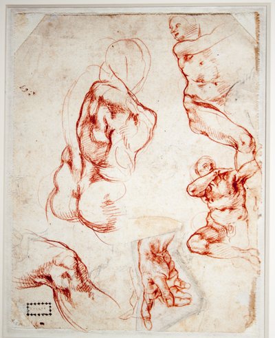 Study for the Hand of God (Creation of Adam) by Michelangelo Buonarroti